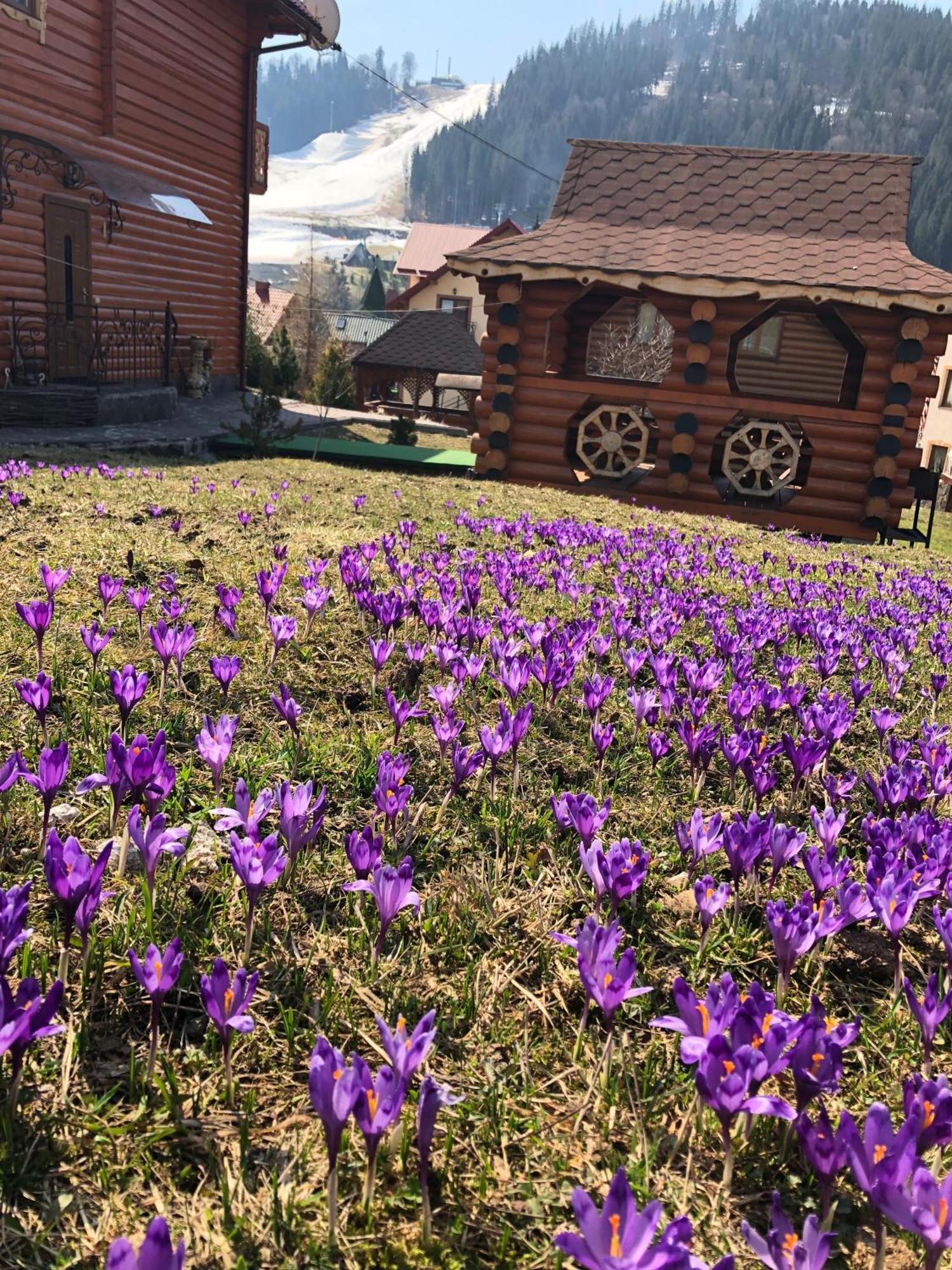 Sadyba U Halyny Bukovel Kültér fotó