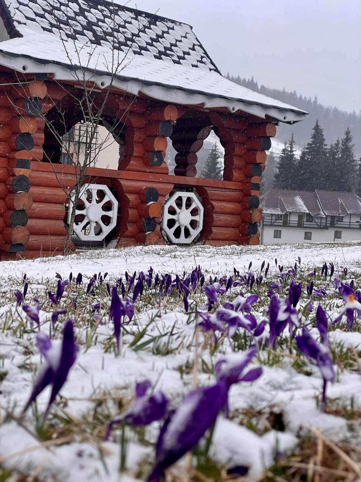 Sadyba U Halyny Bukovel Kültér fotó