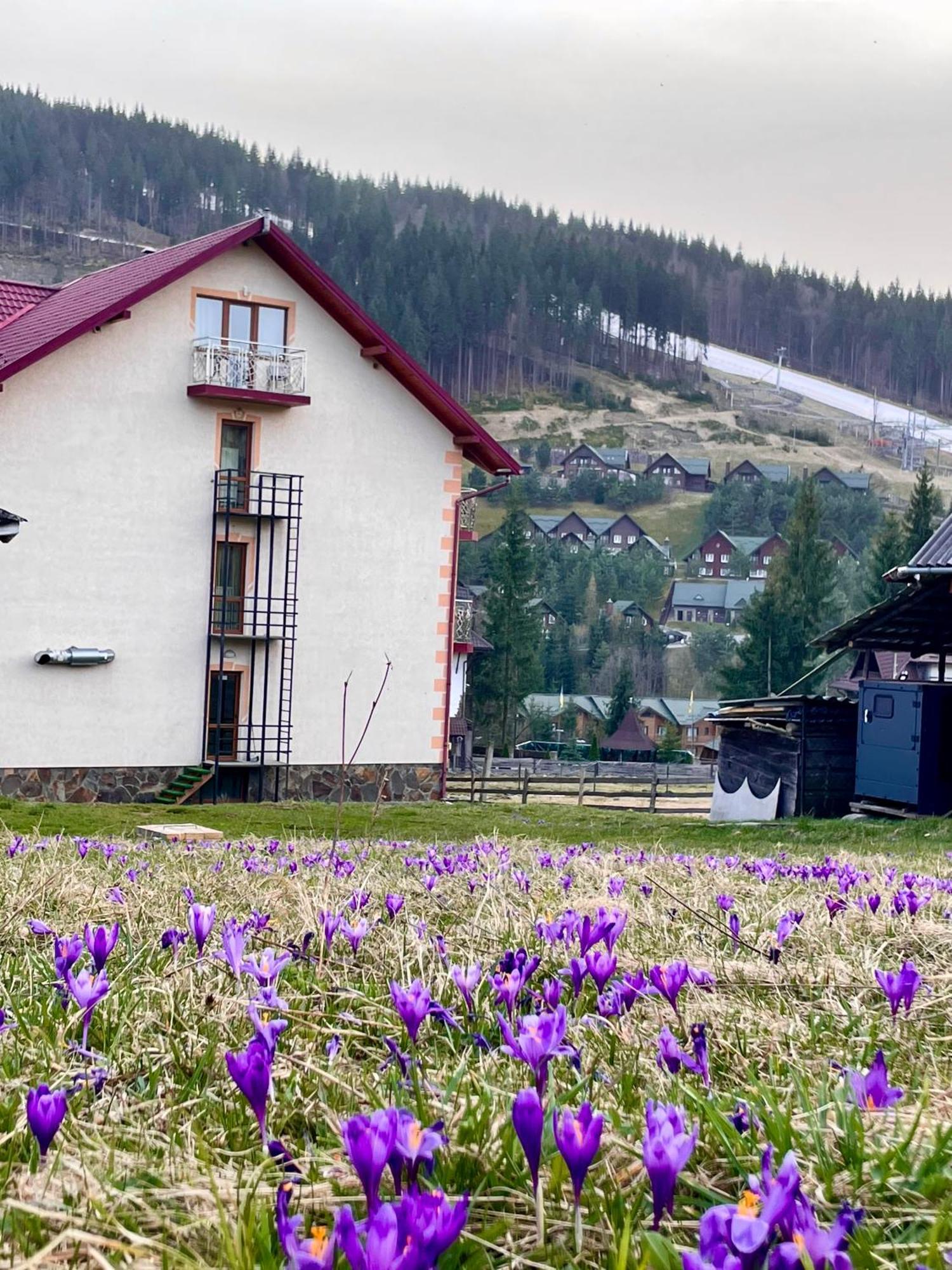 Sadyba U Halyny Bukovel Kültér fotó